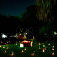 Private Open Air Candle Light Dinner in Hyderabad for Birthday / Anniversary